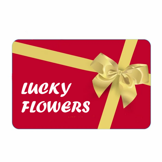 Gift Card 100$